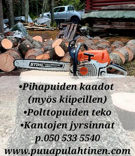 Puunkaadot ja kantojen jyrsintä Pirkanmaa, Kangasala